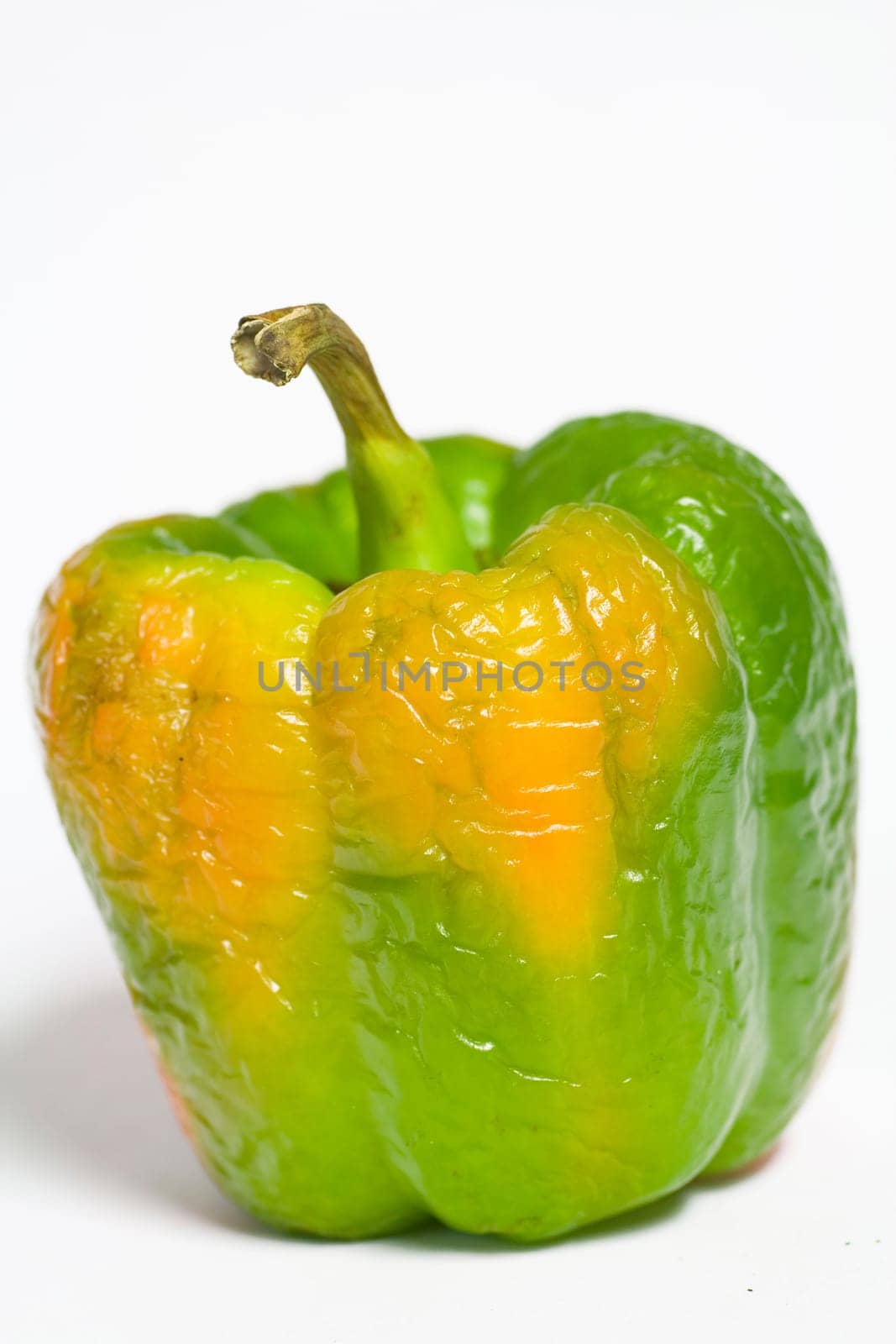 wrinkled bell pepper