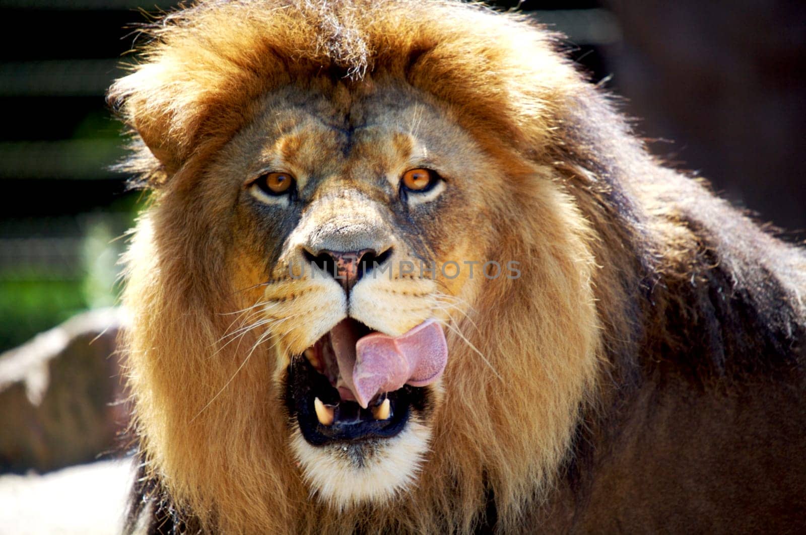 HUNGER