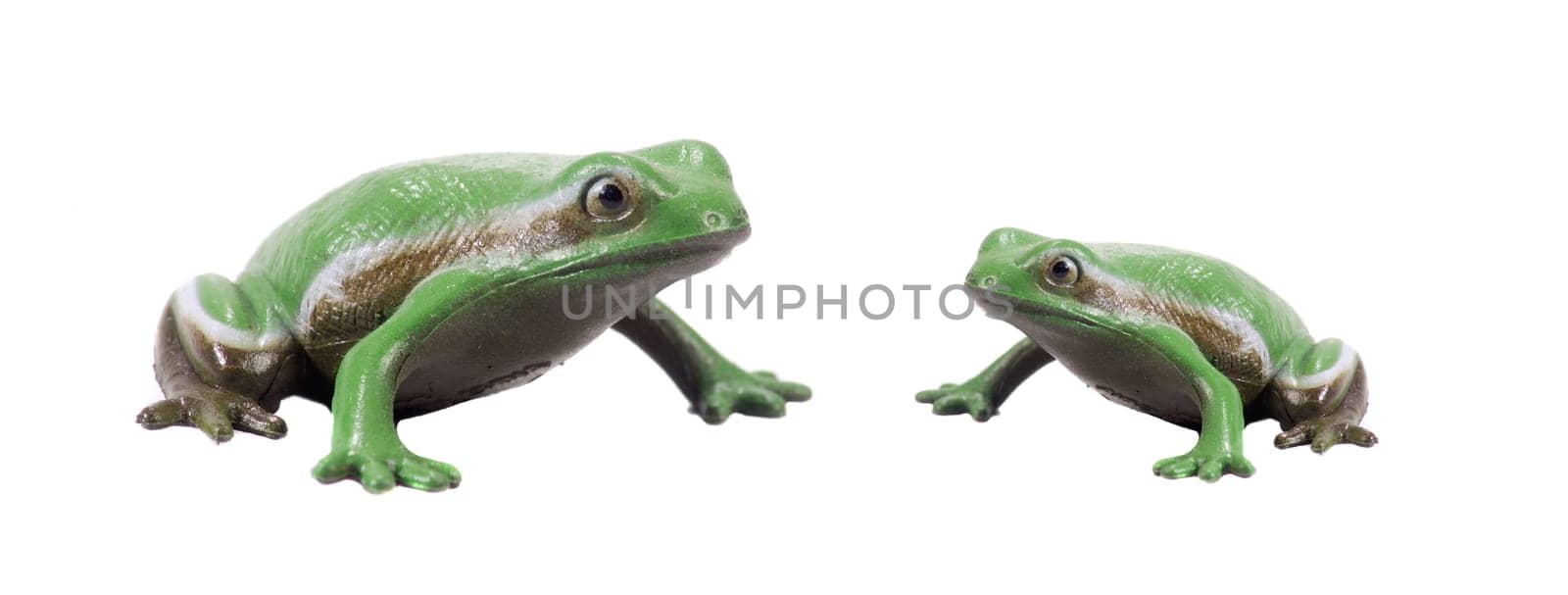 2 green plastic frogs