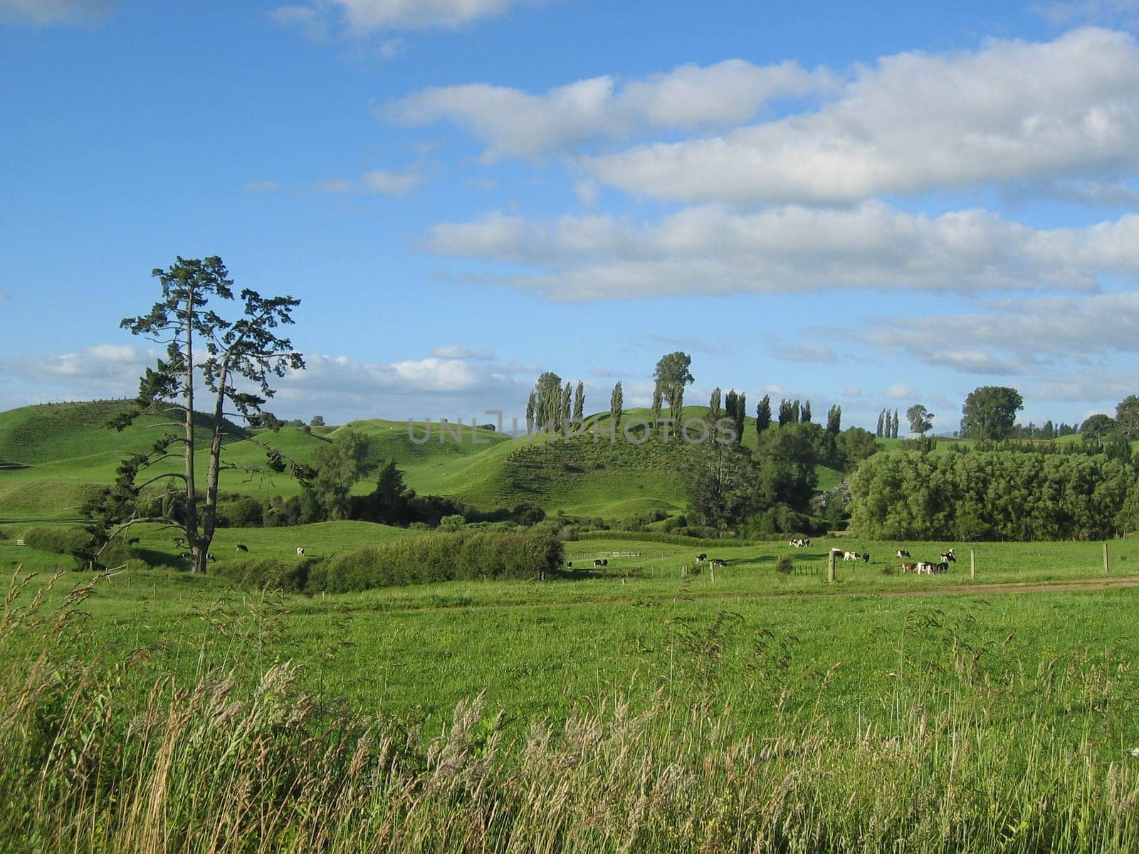 Hills
