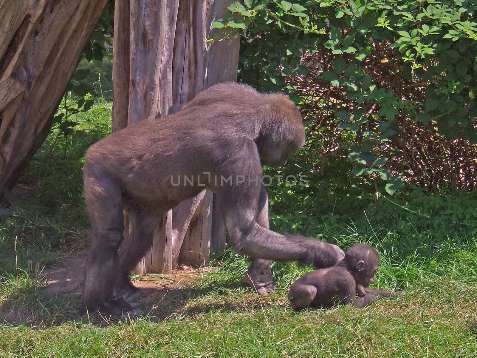 Mother and Child