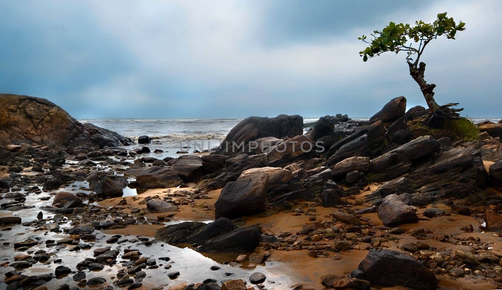 Low tide