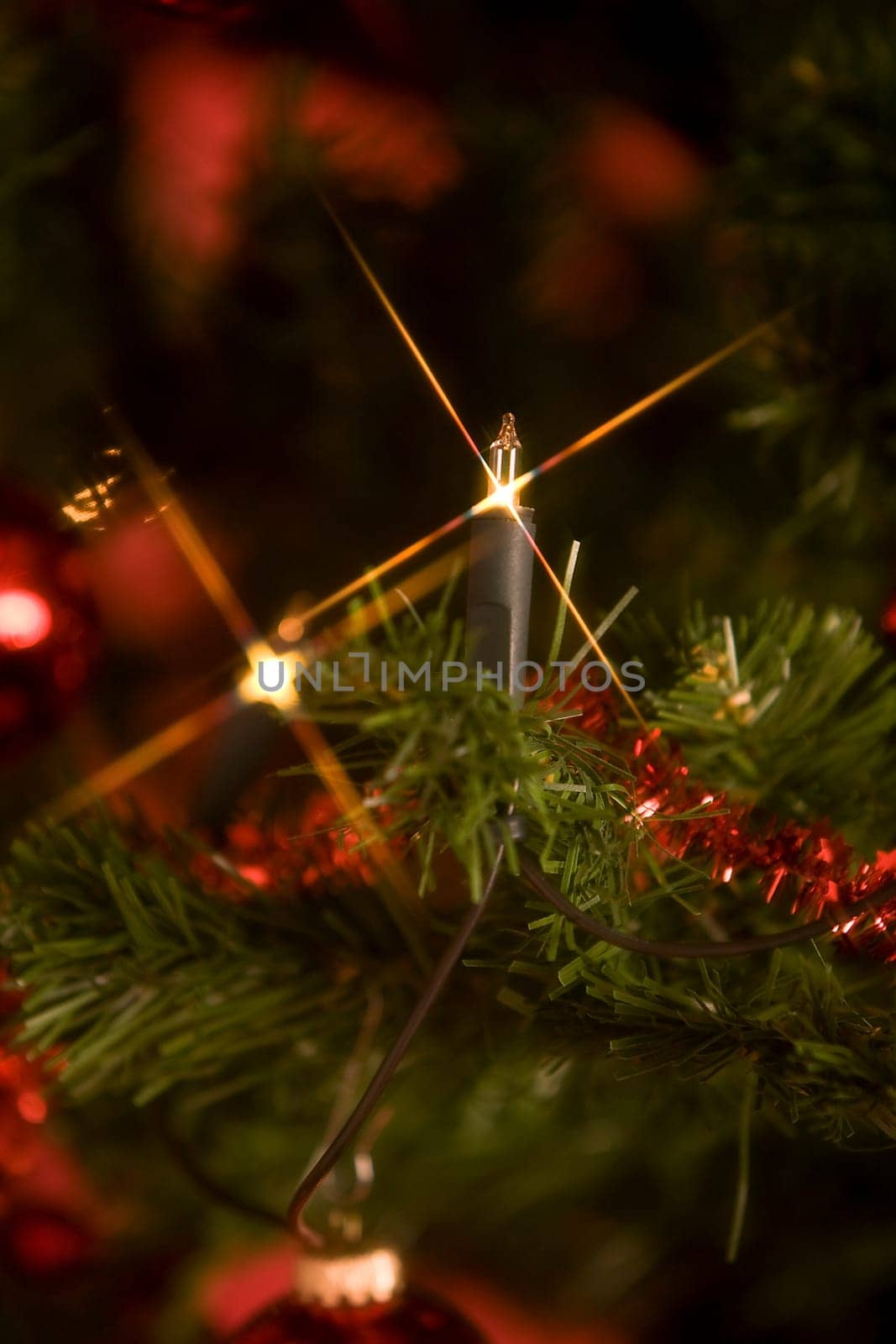 Candles on the Christmas tree