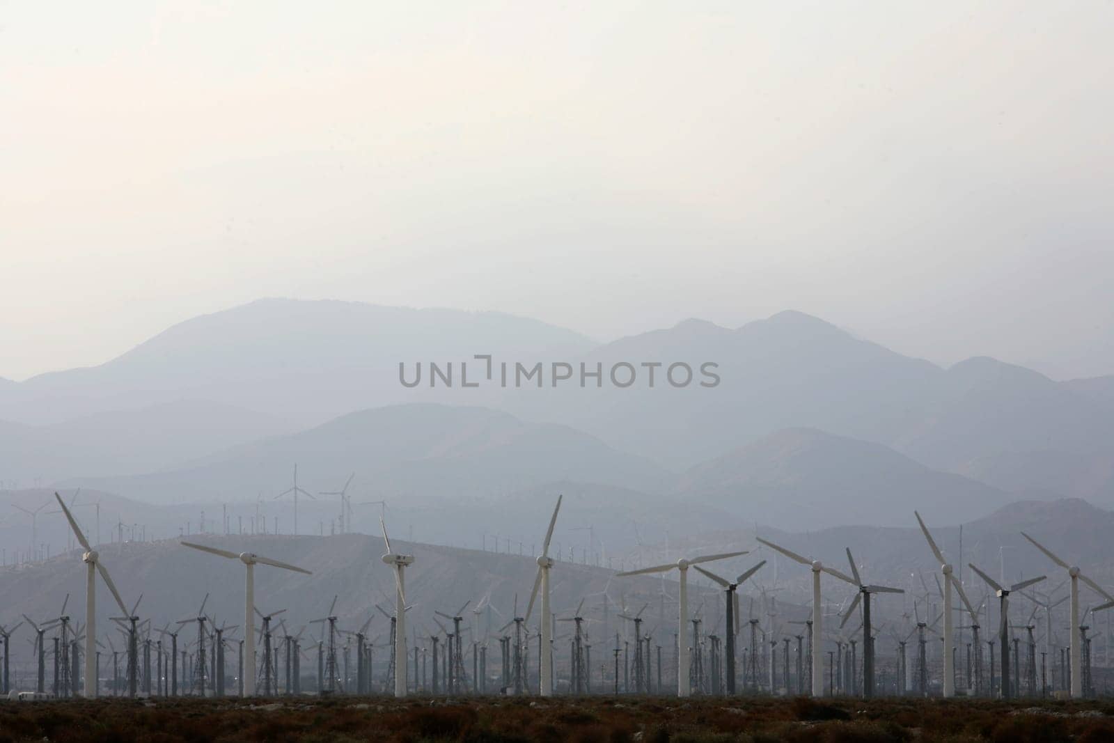 Wind farm near Palm Springs