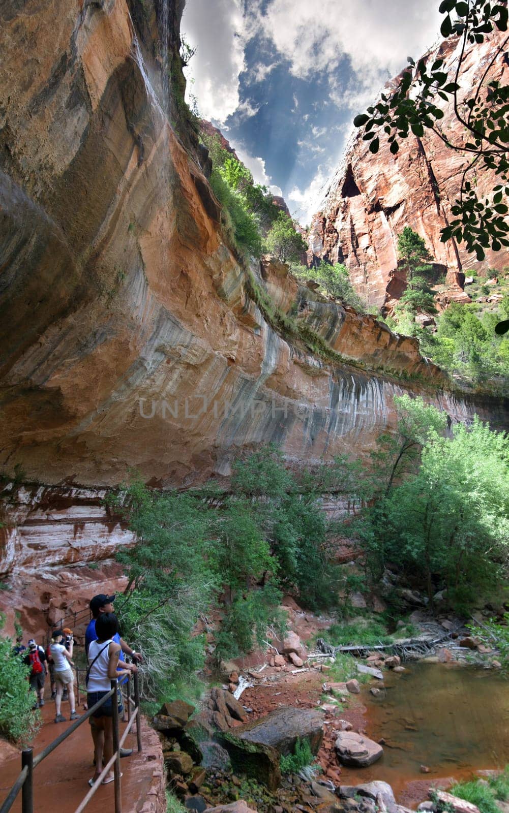 The Grotto in Zion National Park
