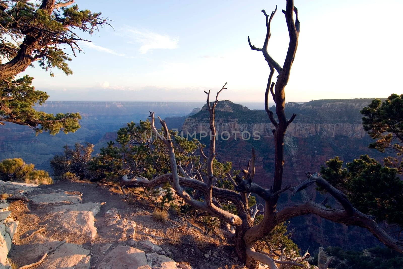 Grand Canyon National Park