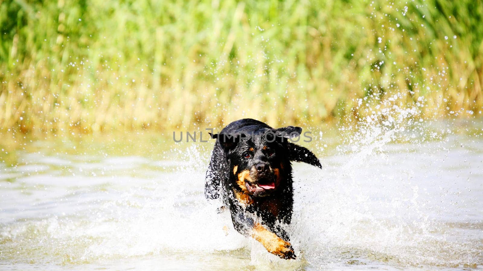 High Speed