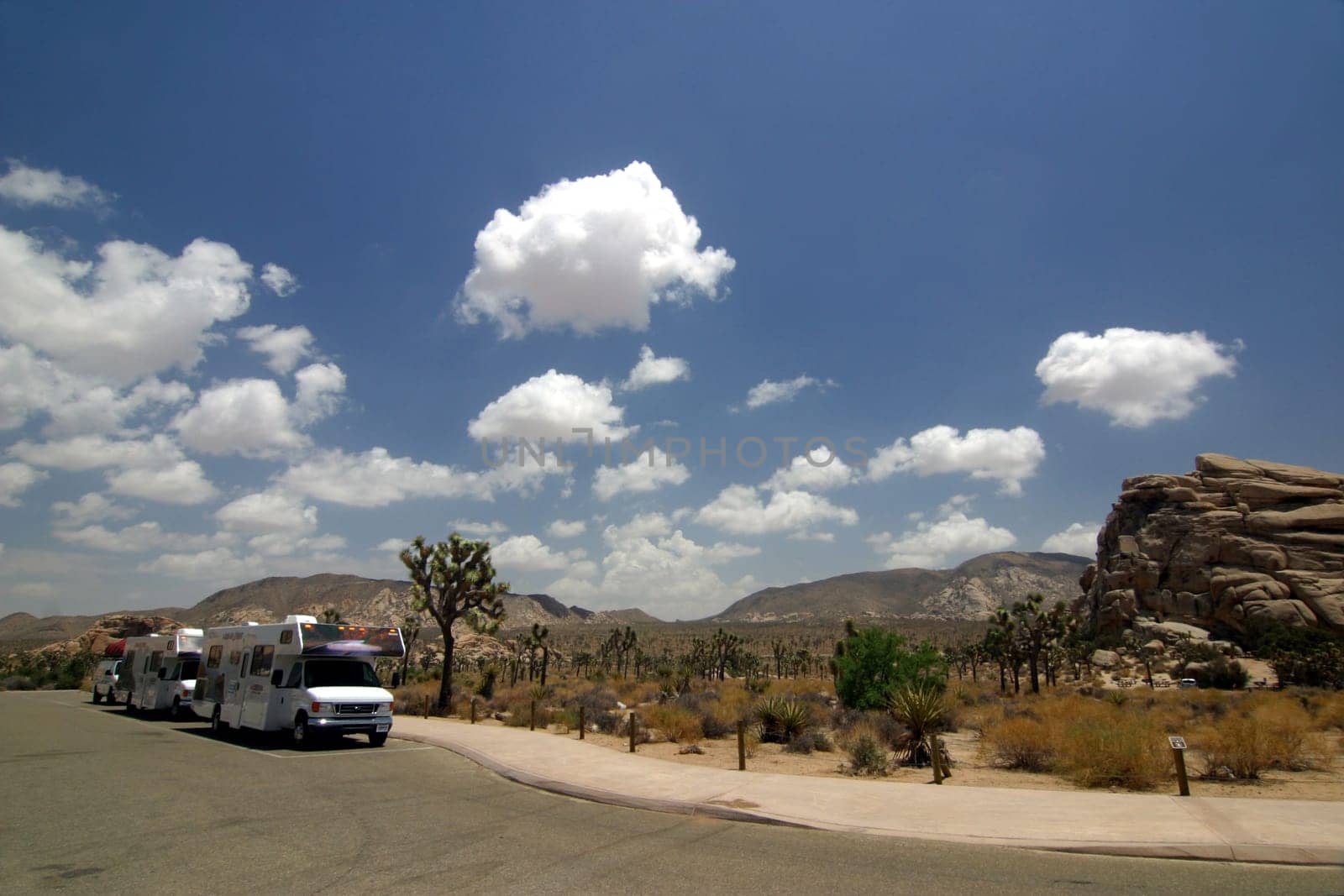 Campers in Joshua Tree National Park