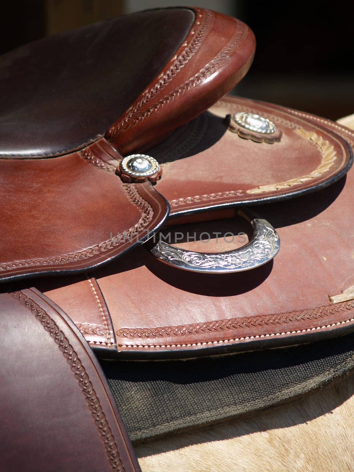 Western Saddle