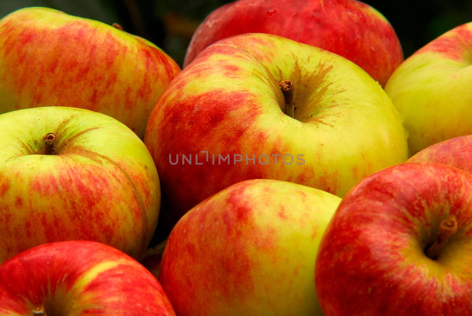 Healthy and Good