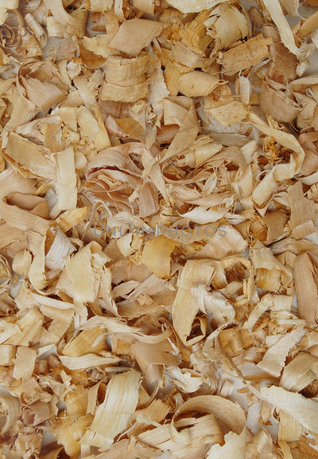 Wood shavings