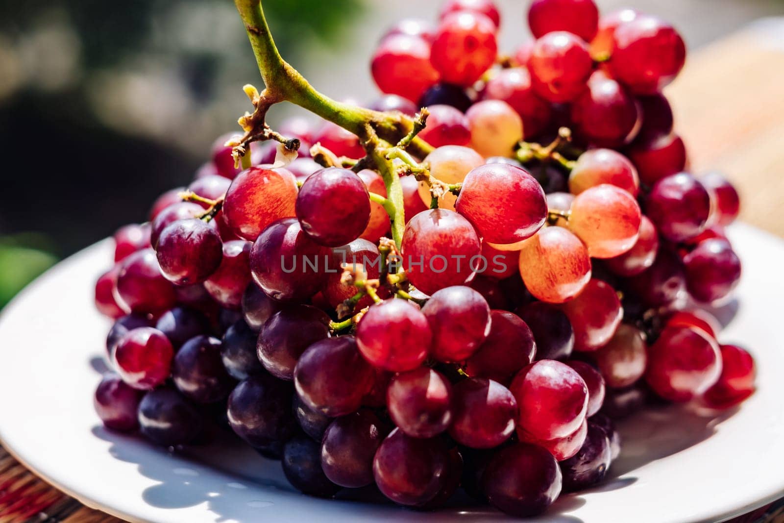 Close up bunch of bright red brown juicy ripe grapes berries, healthy sweet fruits, sunny mood, vitamins healthy food.