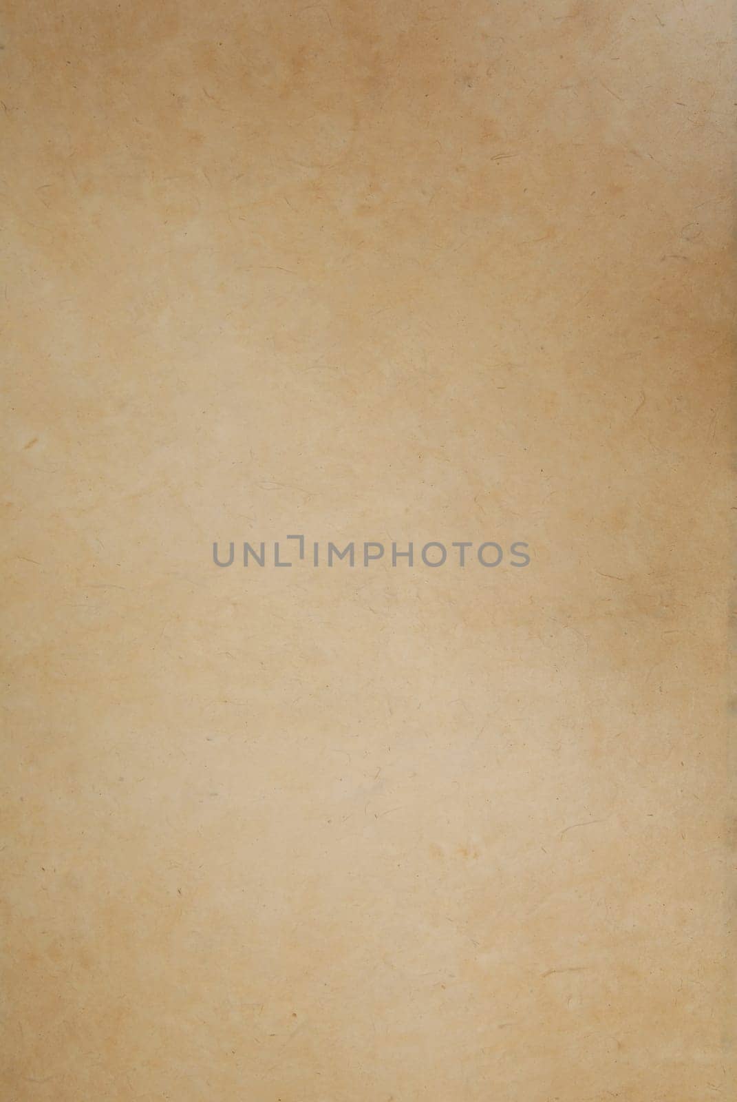 Papyrus paper