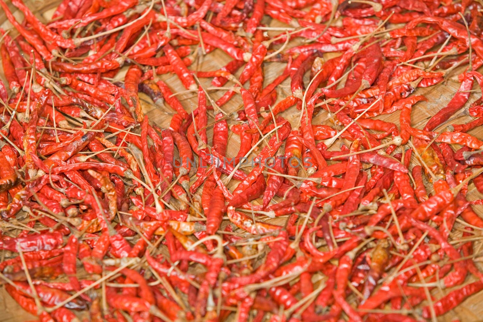 Chilli