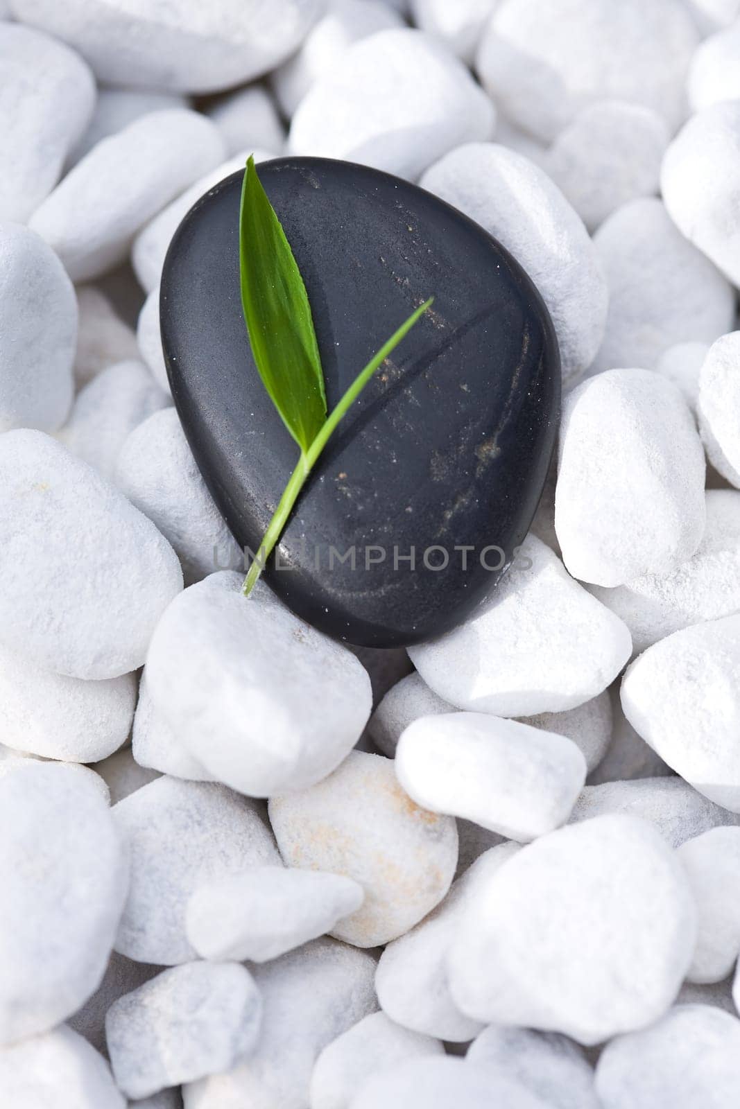Zen