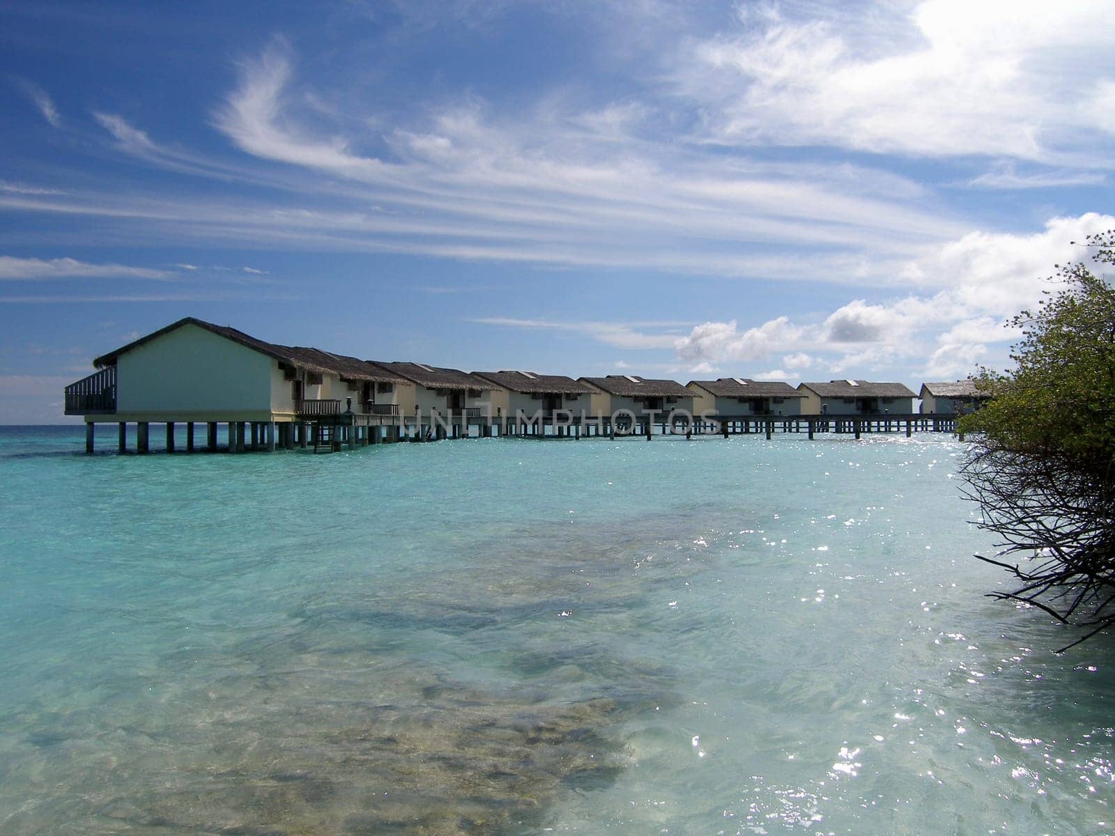 Taken on the island of Reethi Beach in Baa Atoll. ( Maldives )