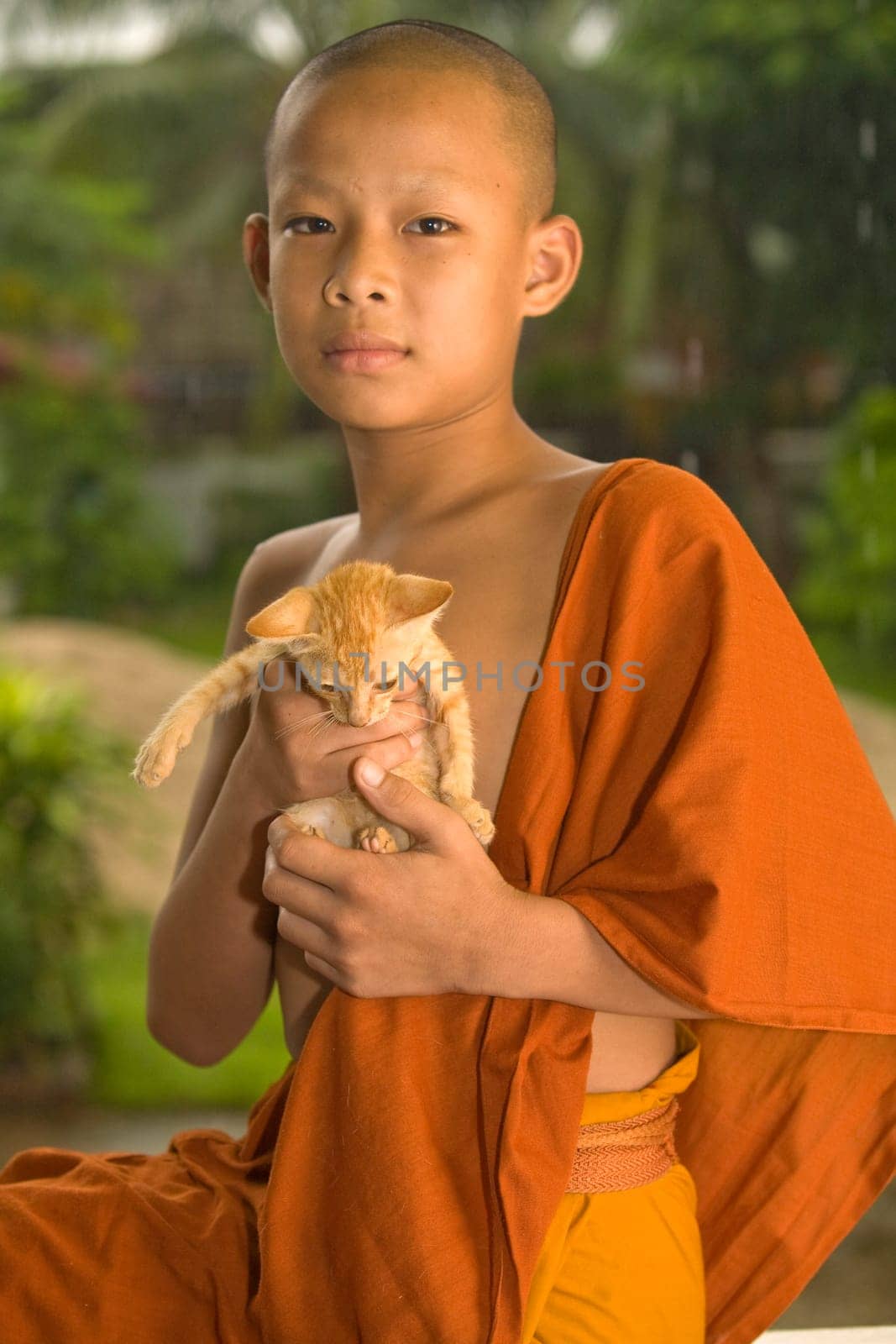 Laotian novice with cat
