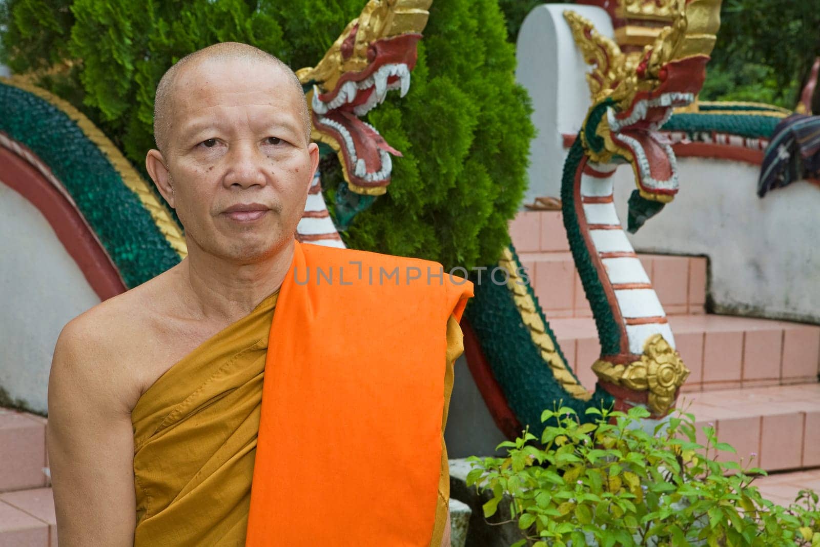 Buddhist monk,Laos