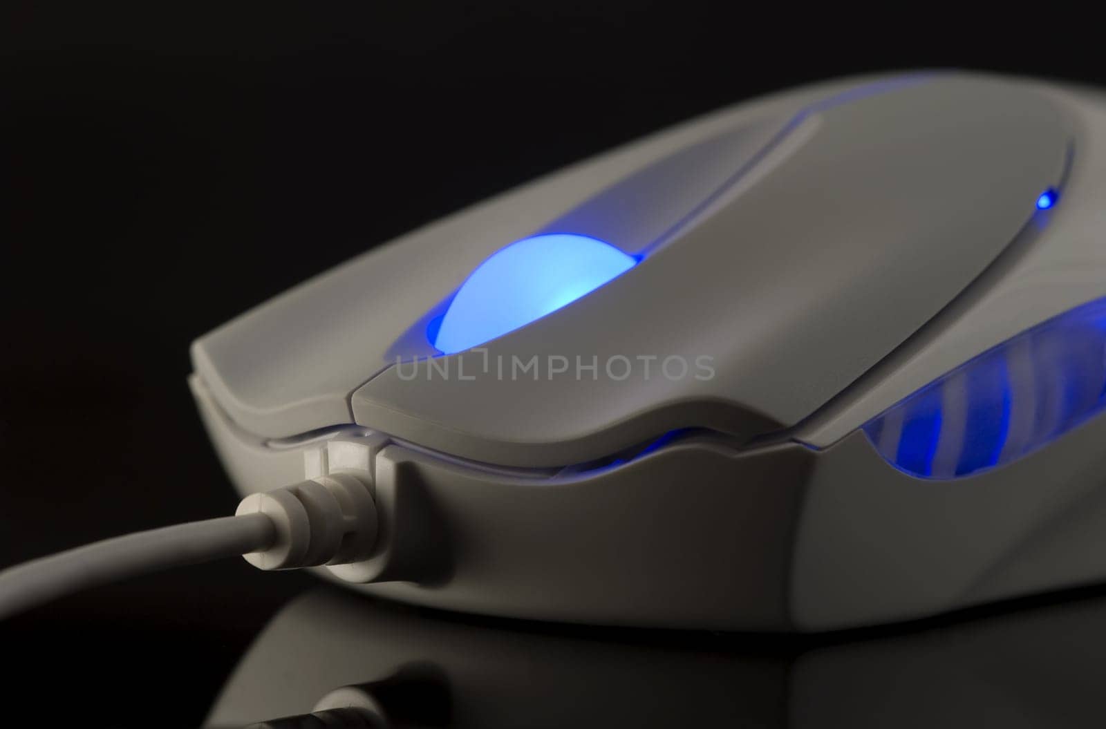 Computer Mouse