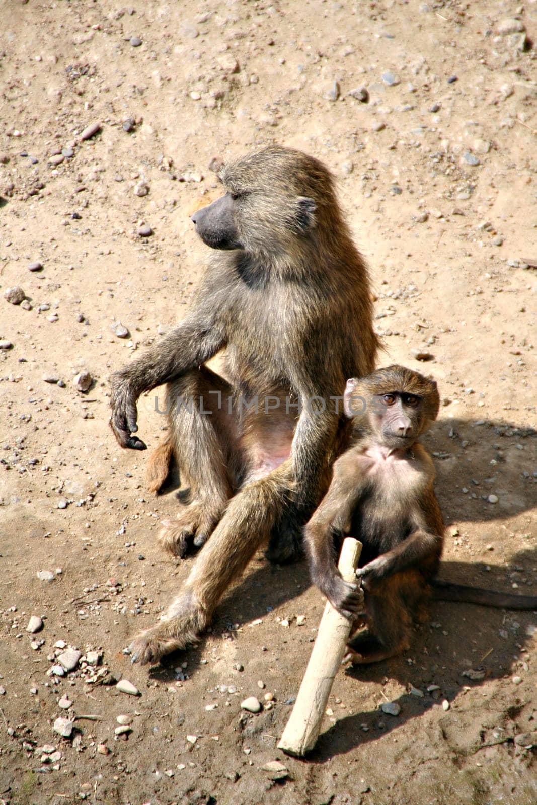 Mother and child