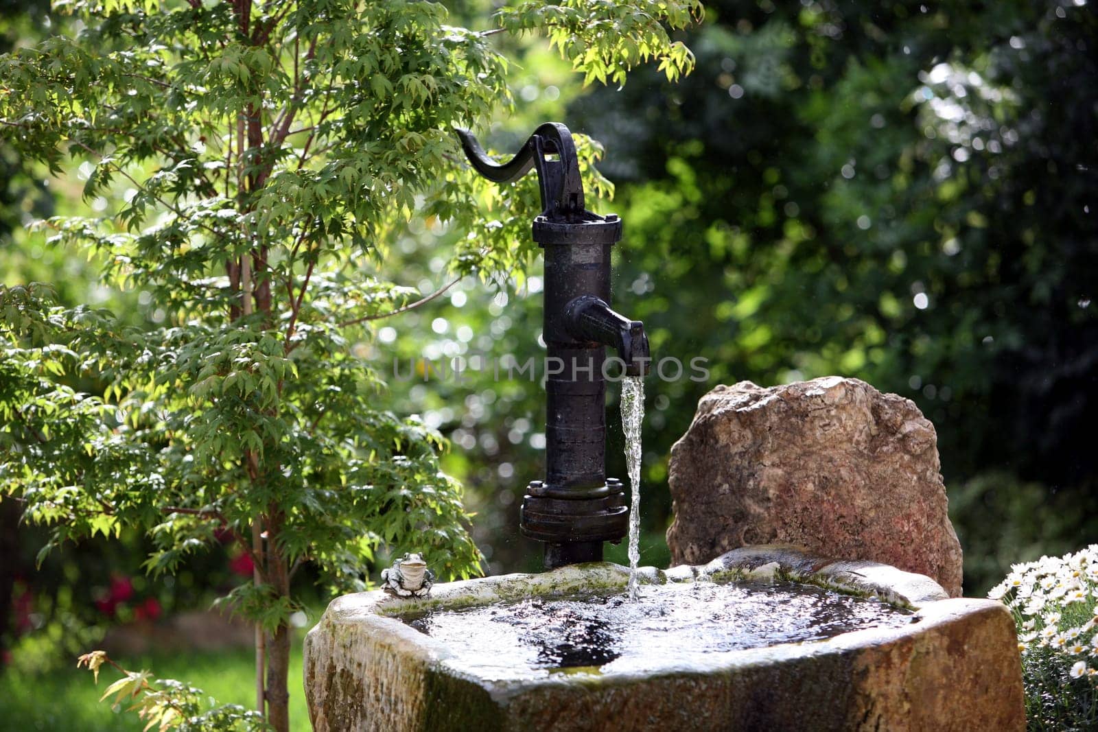 more pictures from this garden and other gardens can be found here: http://www.etonweb.de/herrmann/herrmann.html