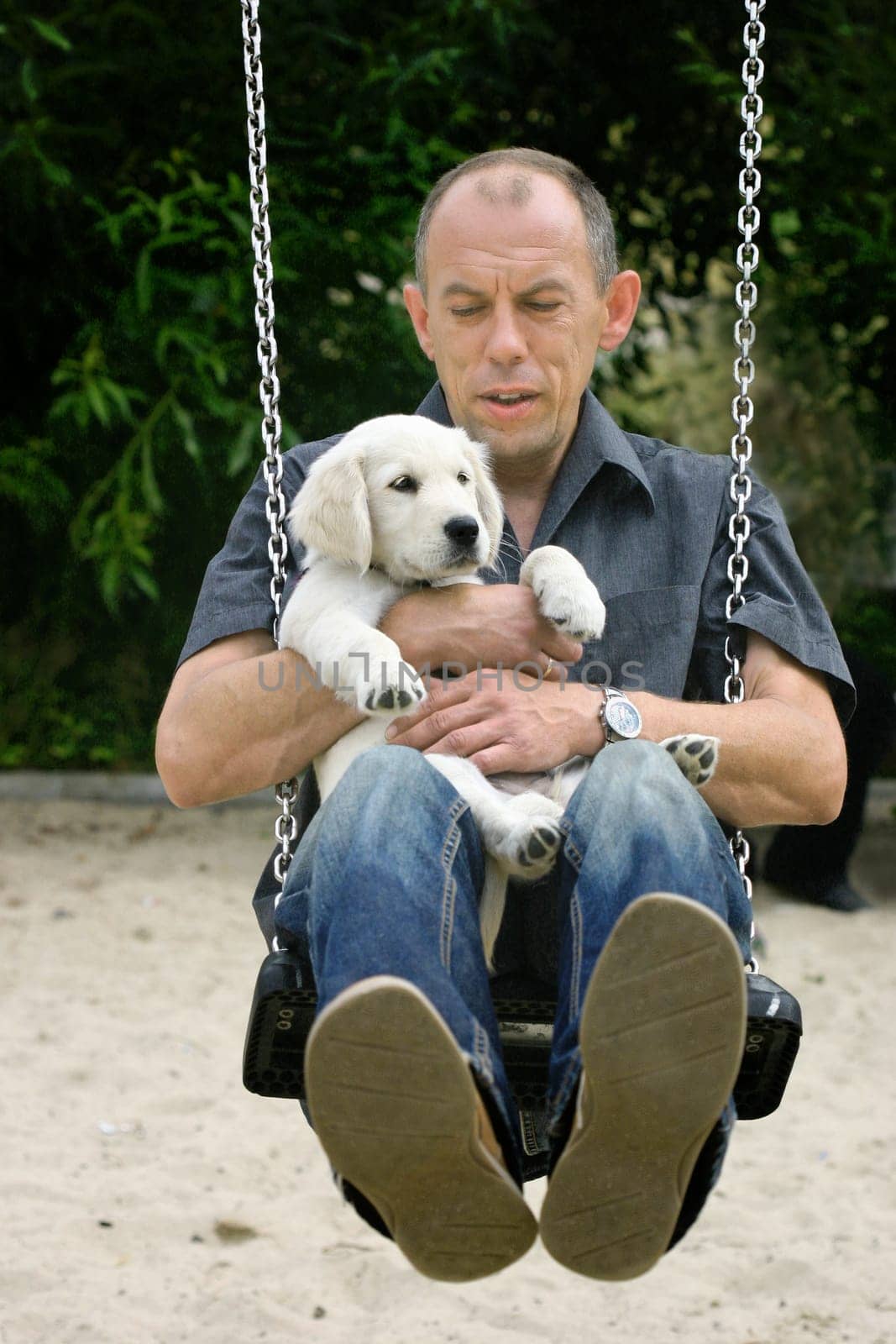 Man and puppy on a swing