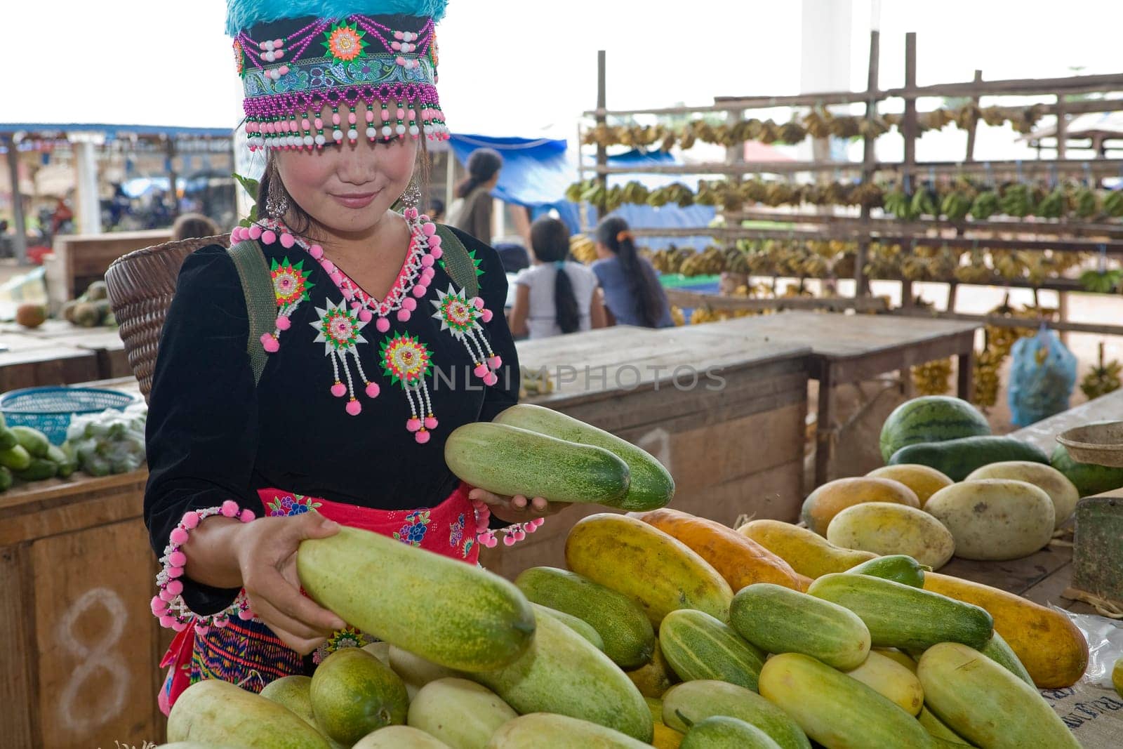 Hmong woman in Laos