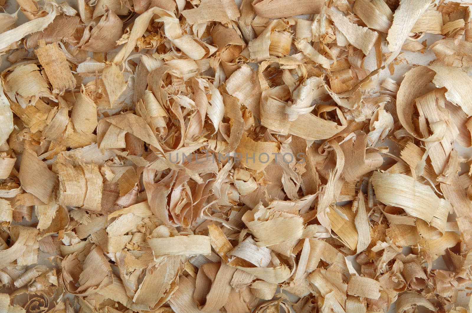Wood shavings