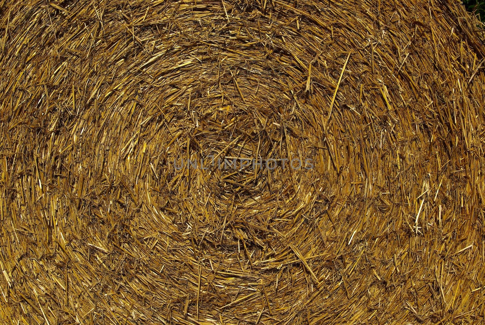 Straw bales 02