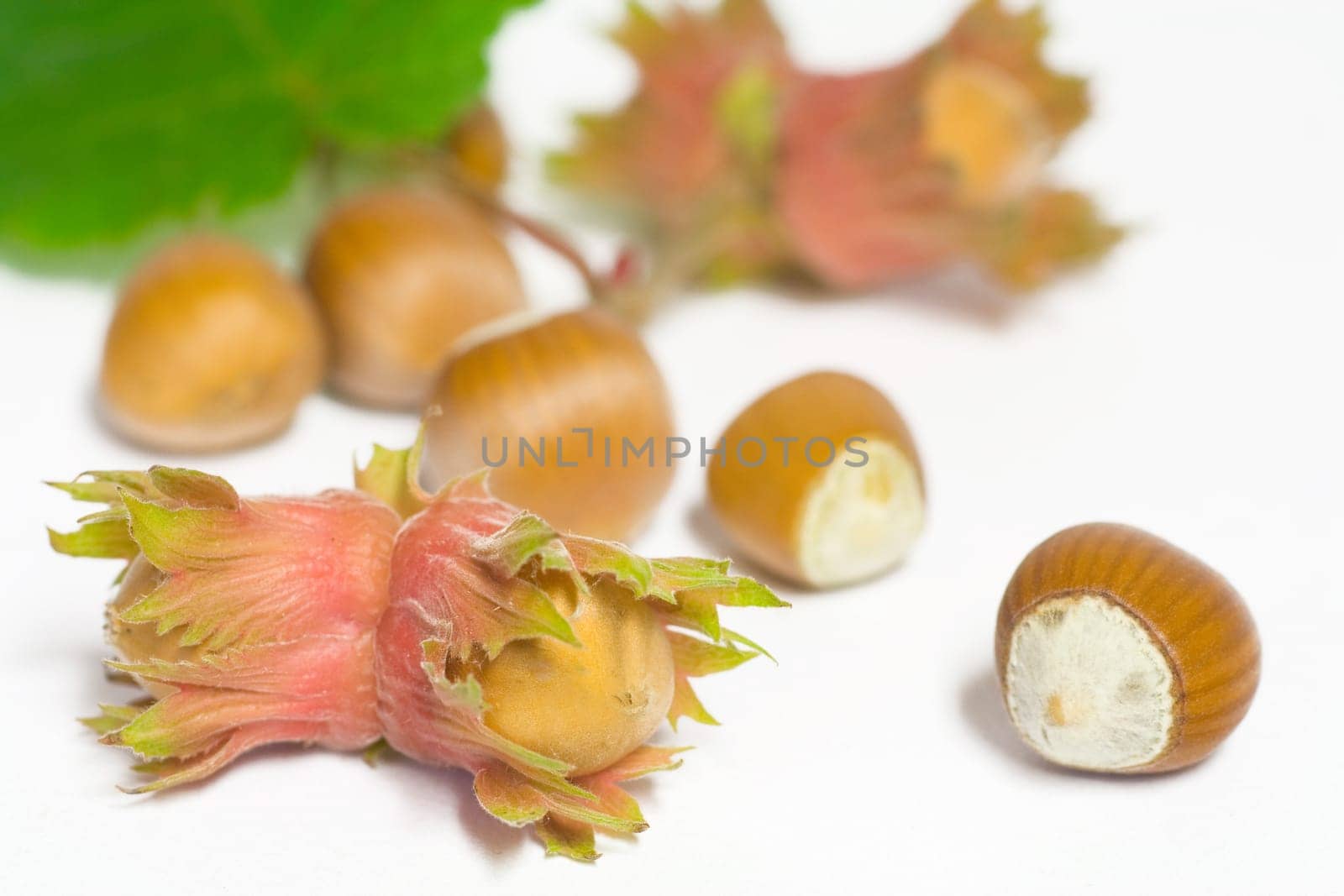 Hazelnuts
