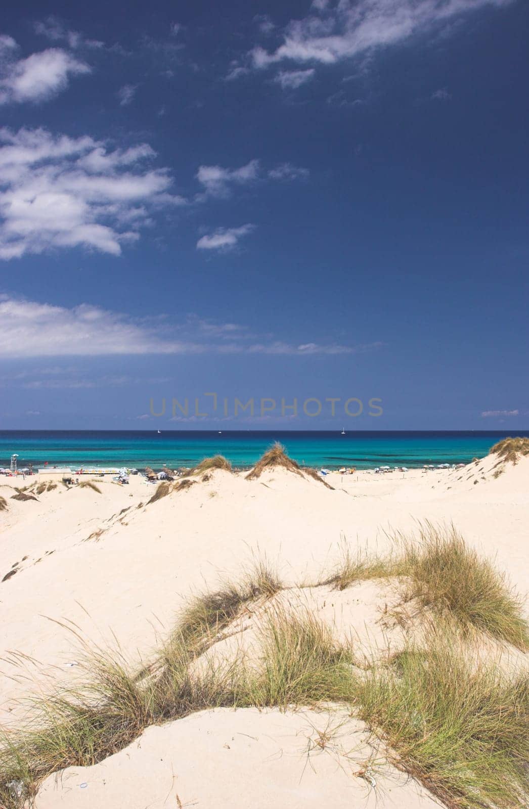 Dunes in the Mediterranean Sea