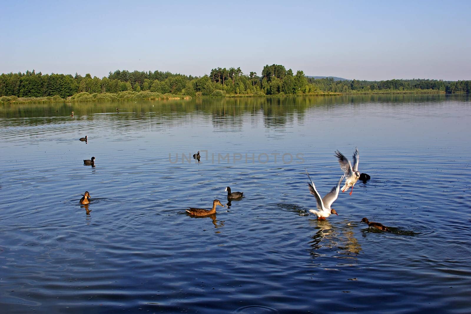 Nature reserve