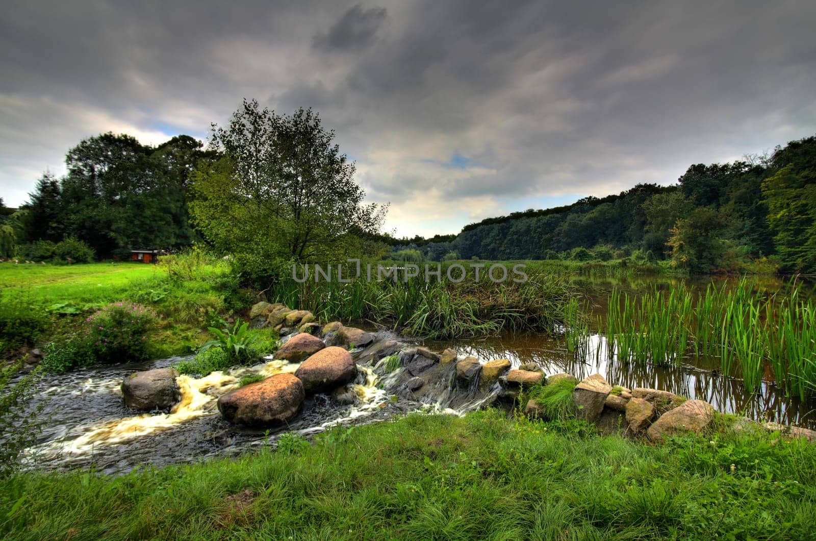 Elements of NatuR