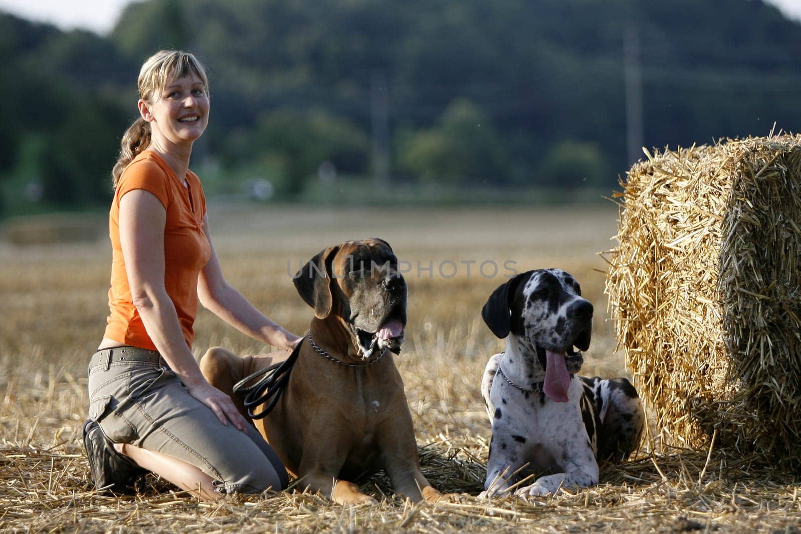 Woman with dogs