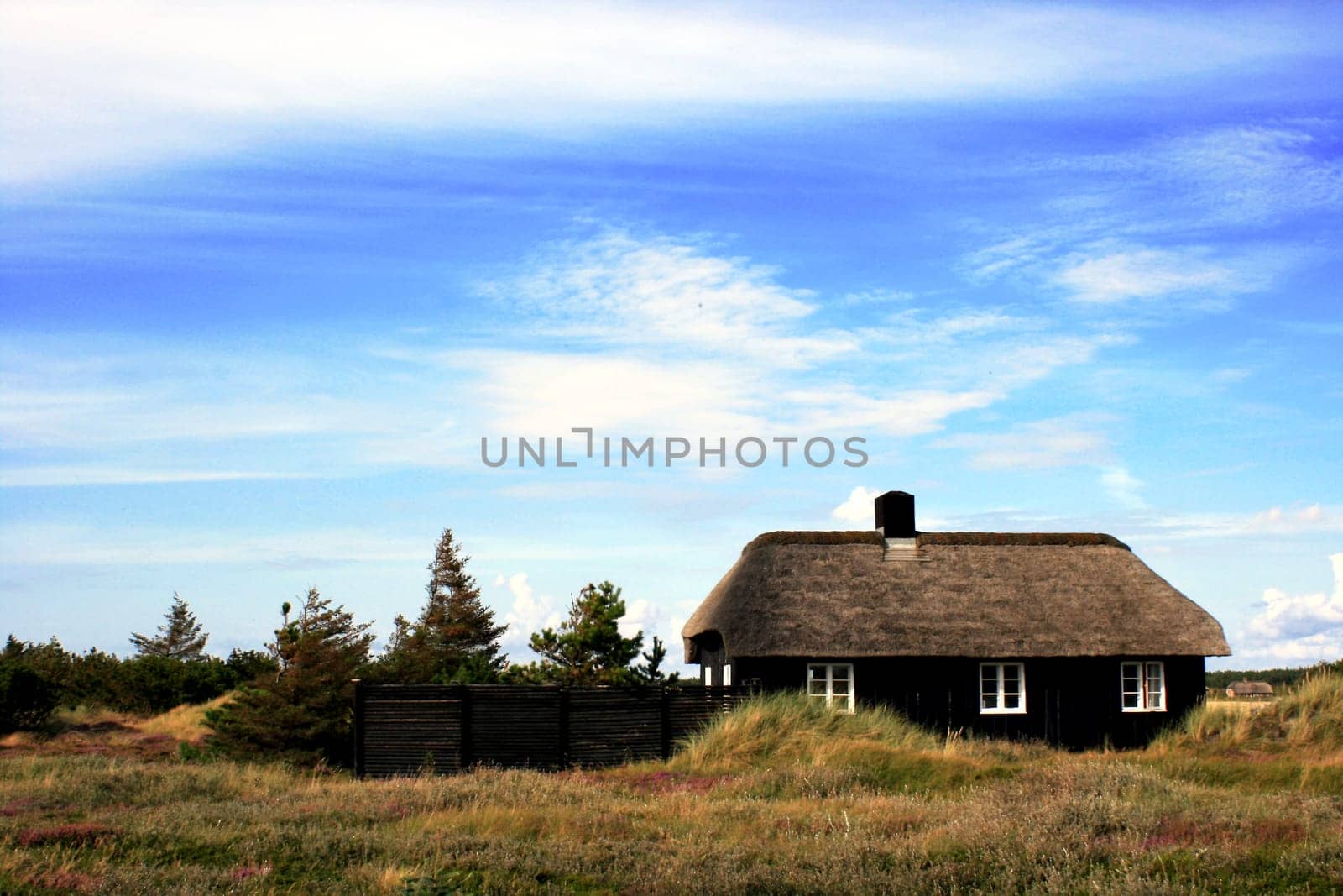 Thatched House