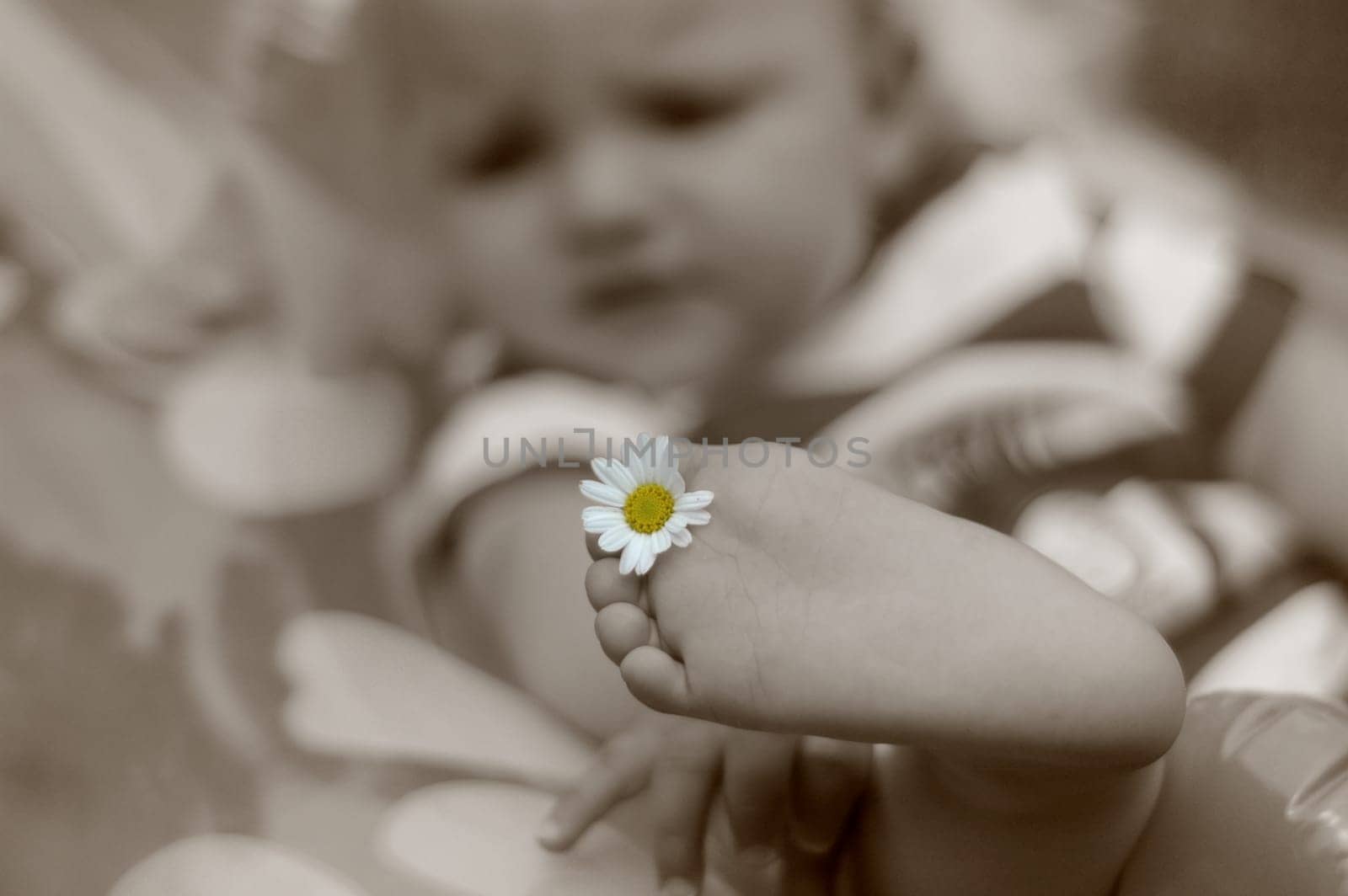 Baby holiday