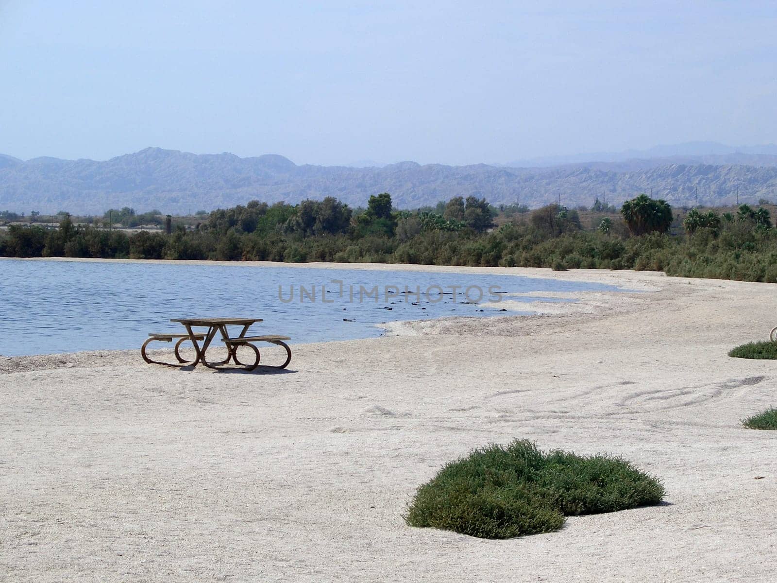California - lonely bank on the Salton Sea