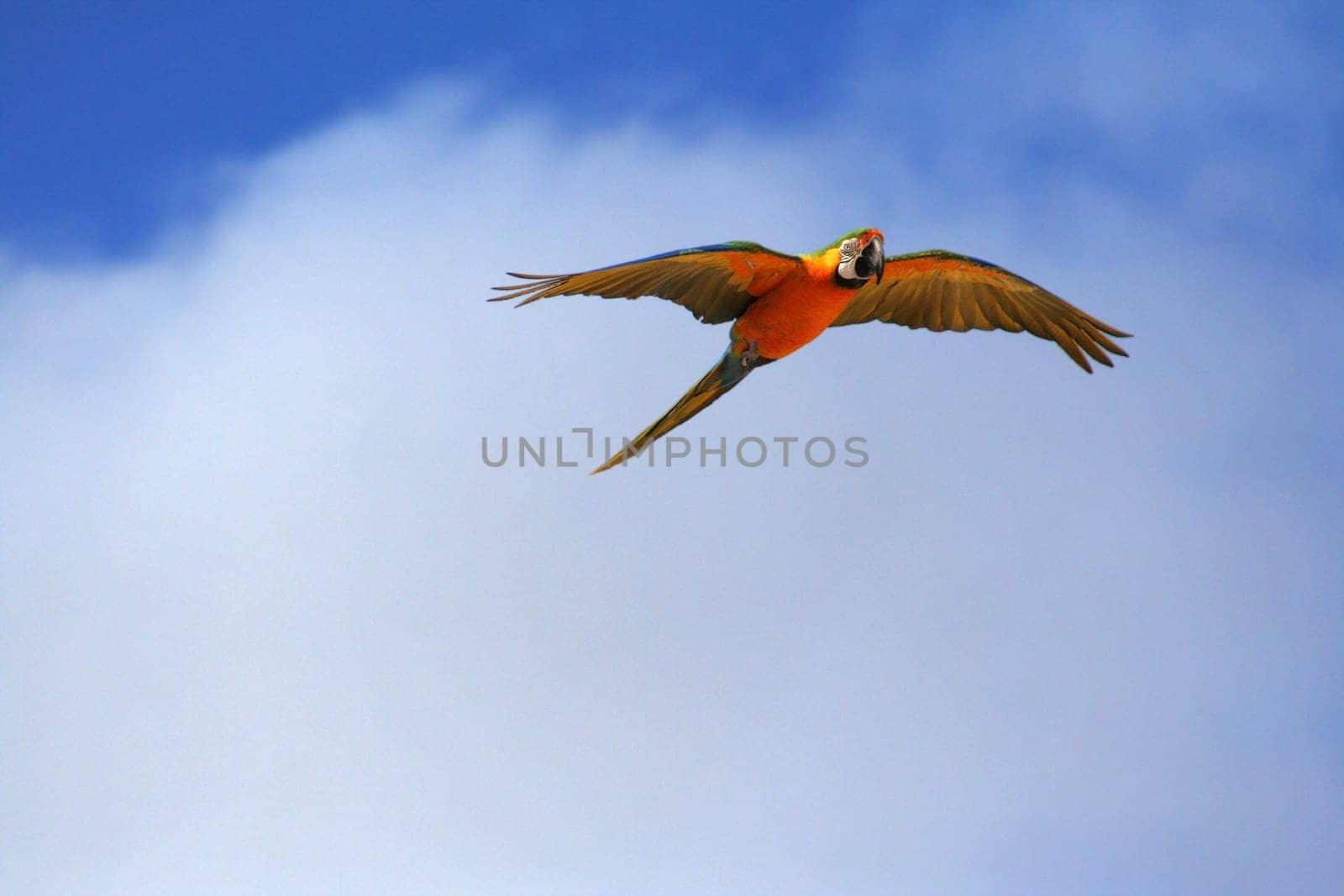 Flying high