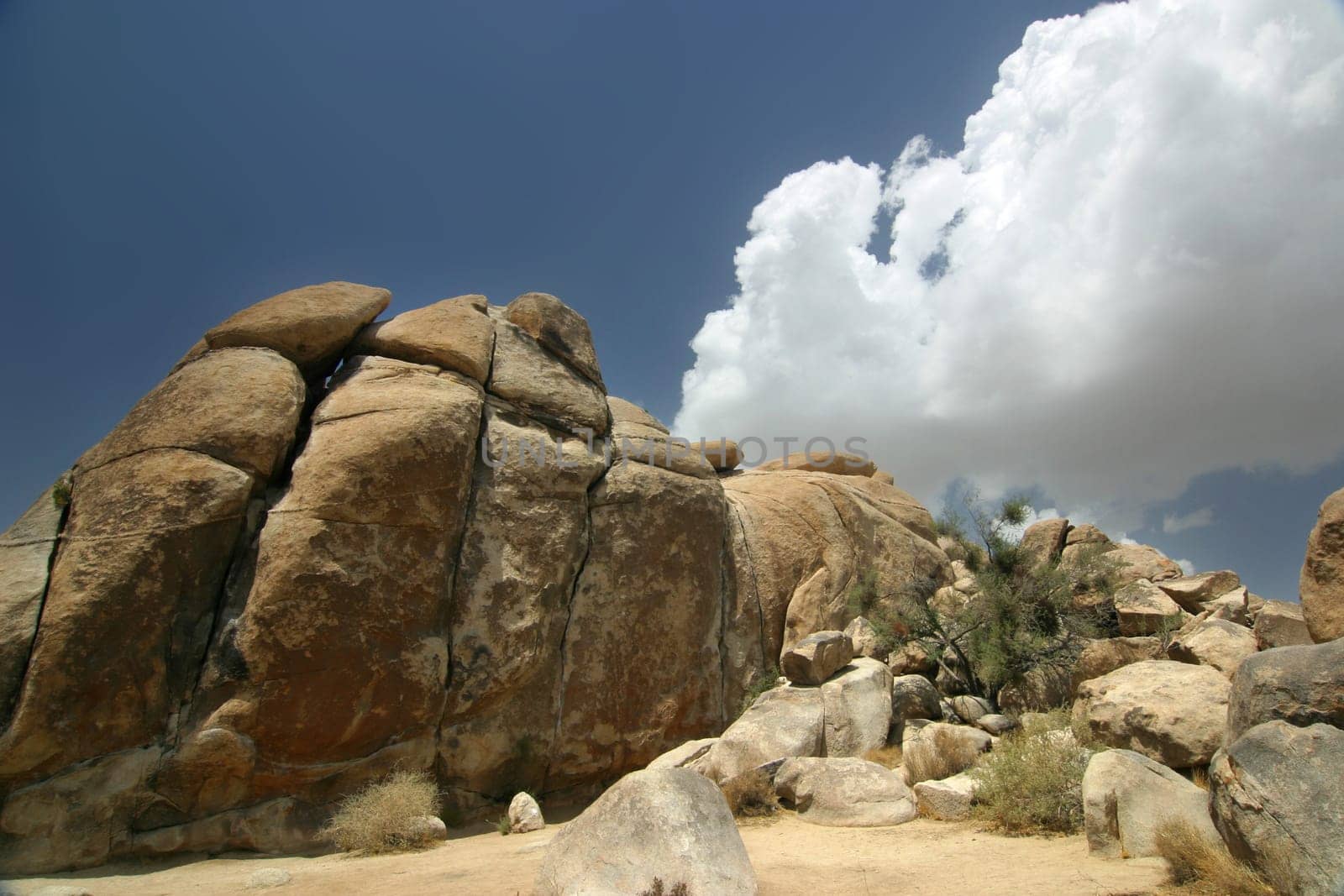 Joshua Tree National Park