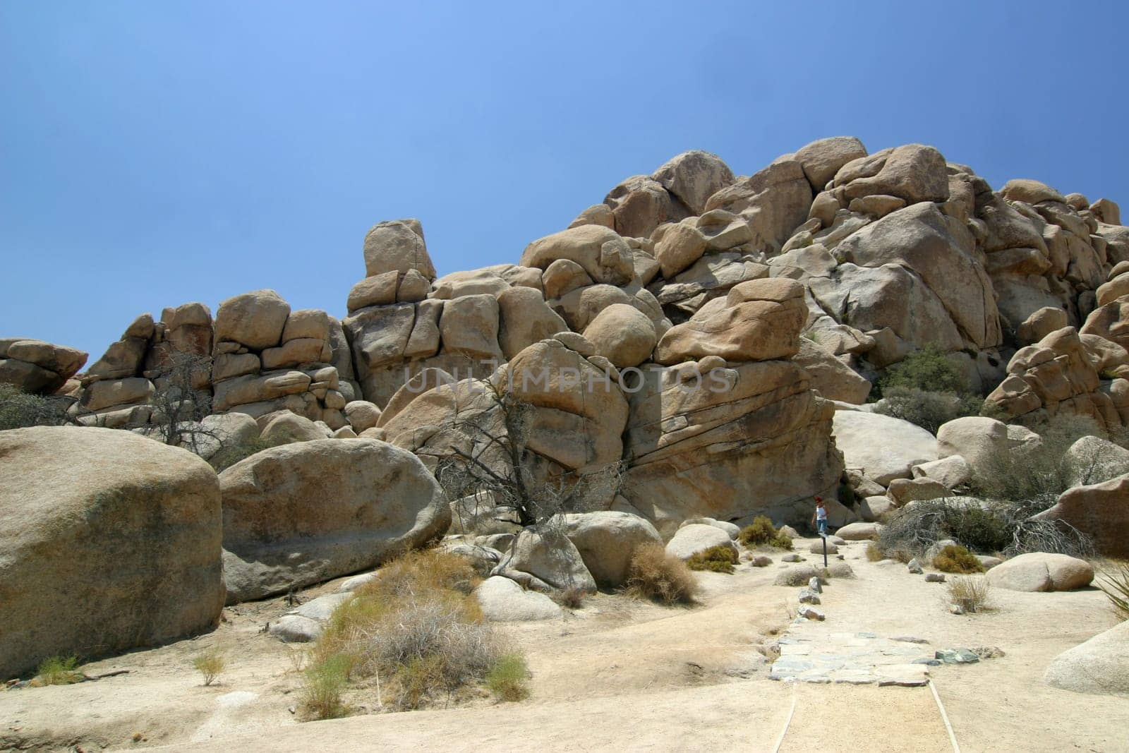 Joshua Tree National Park