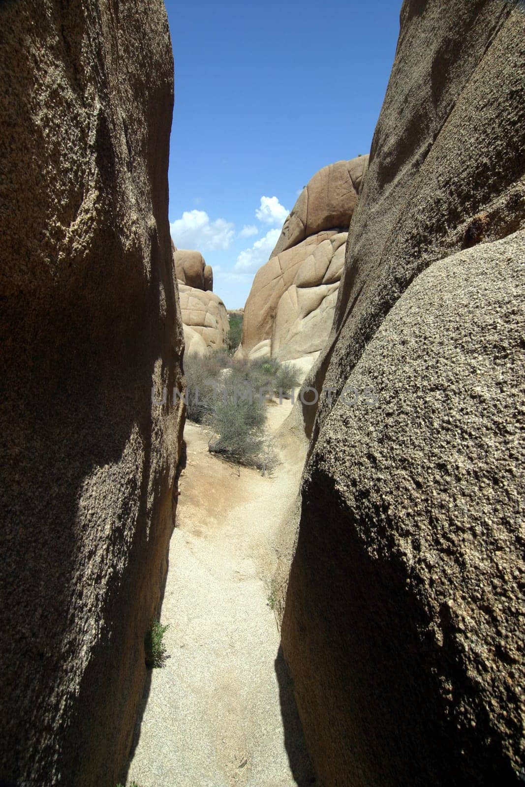 Wonderlands of Rocks Joshua Tree NP