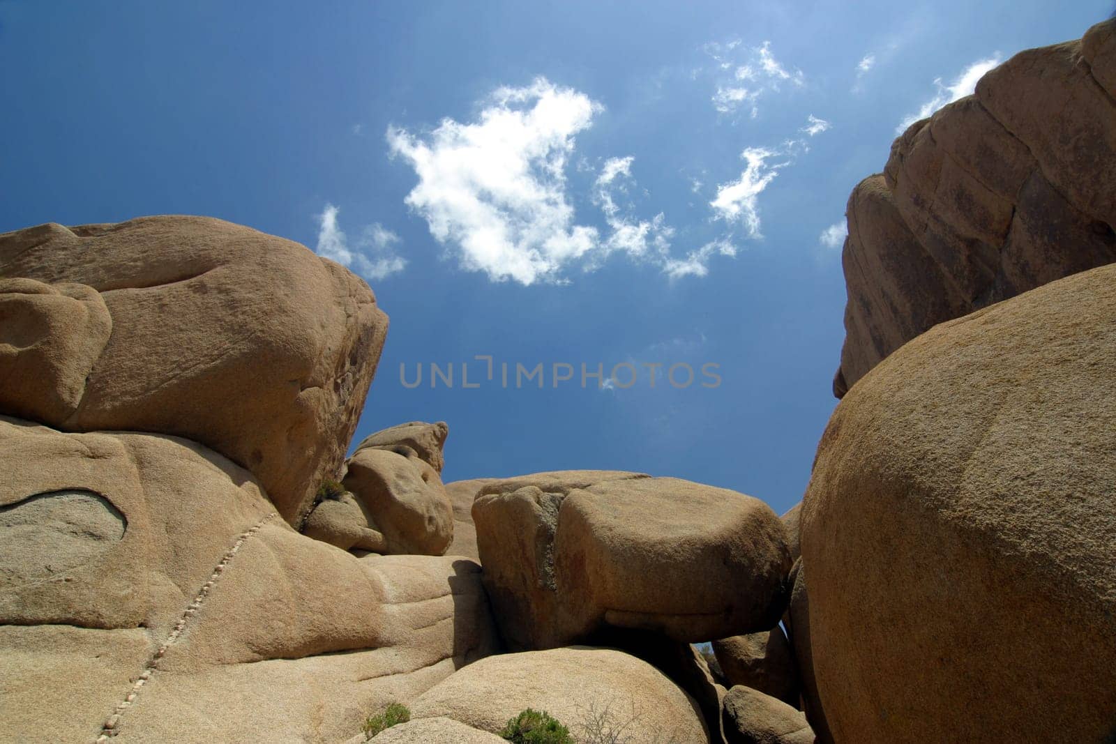 Wonderlands of Rocks Joshua Tree NP