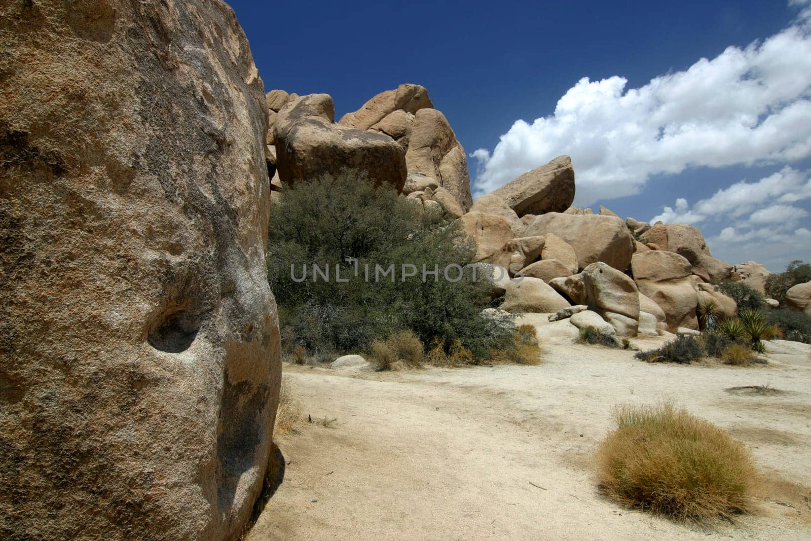 Joshua Tree National Park