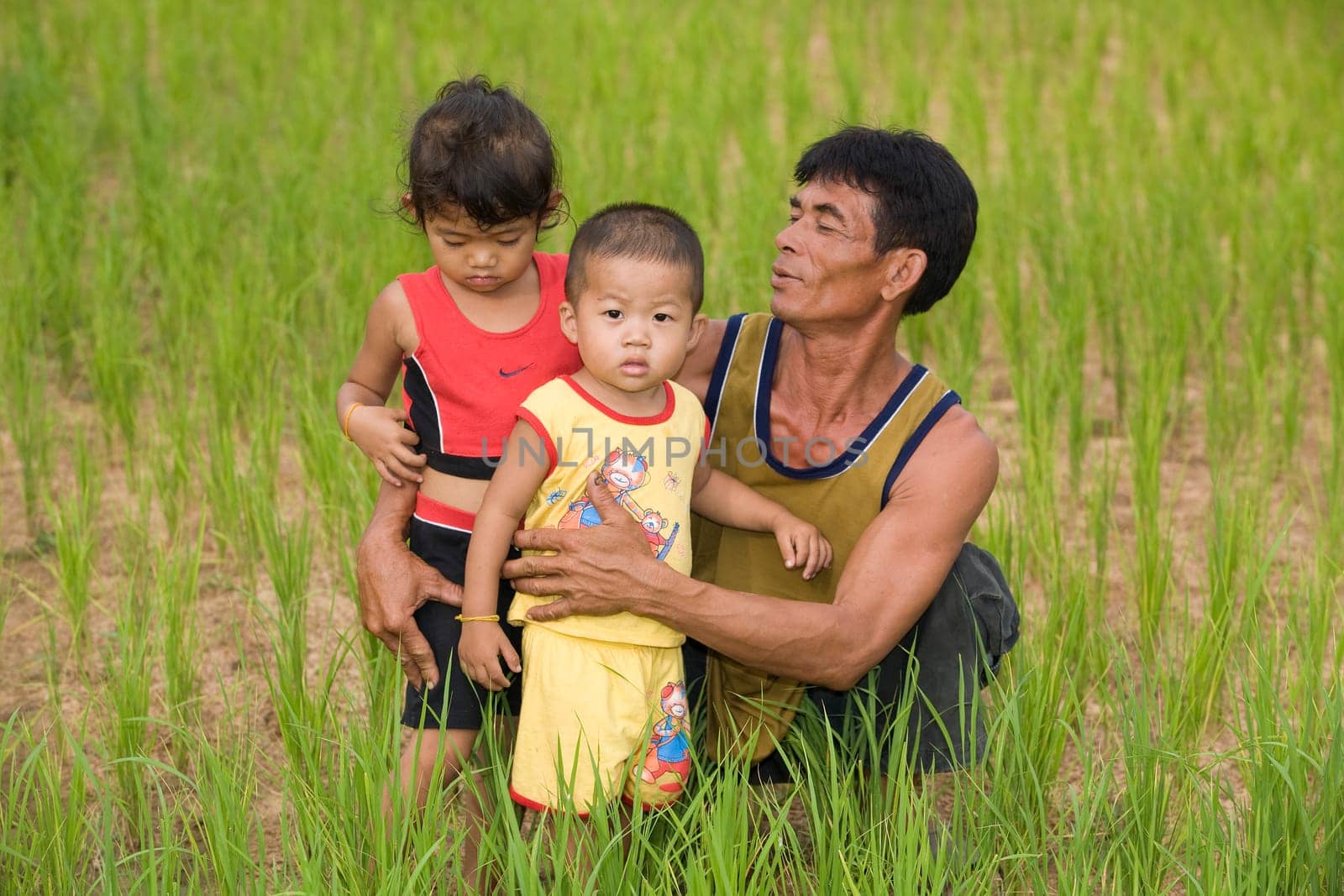 Family in rice field