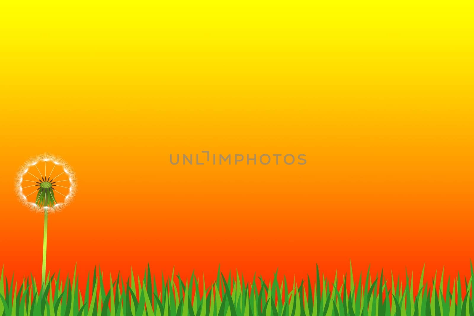 Transience