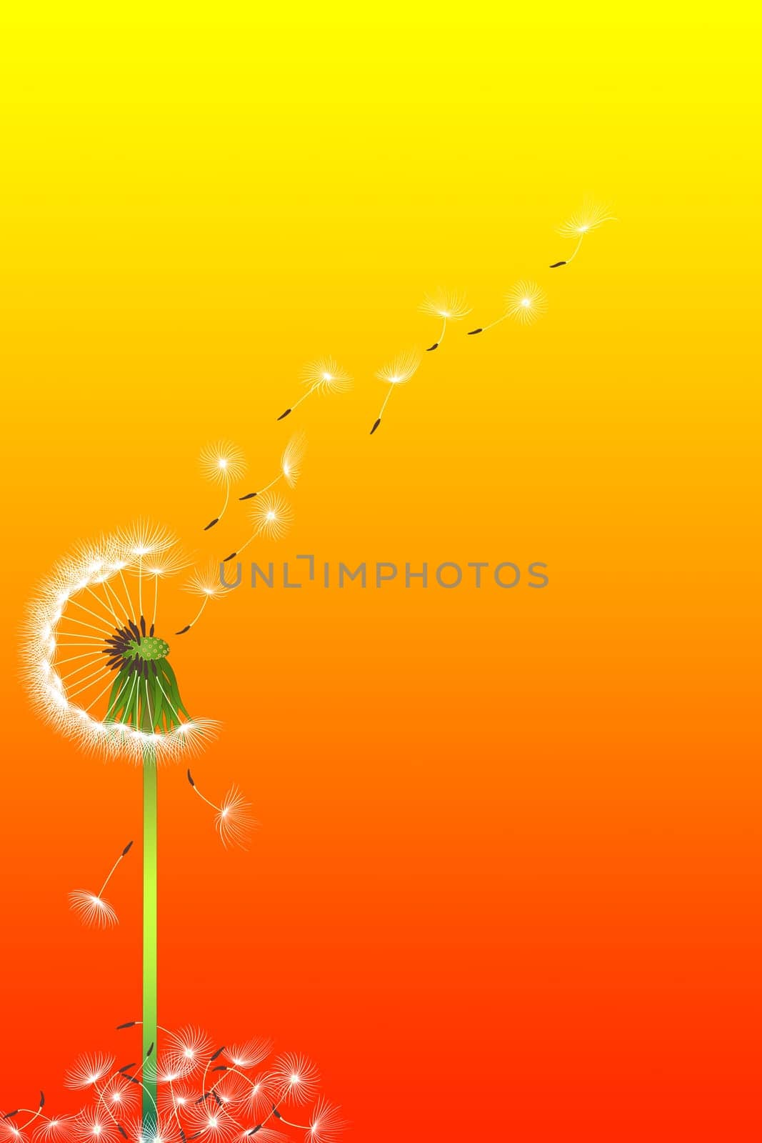 Release