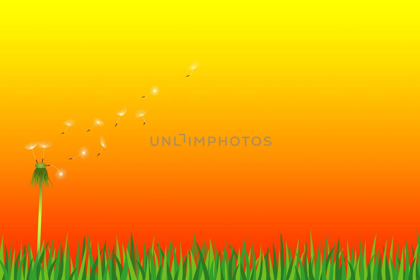 Weightless