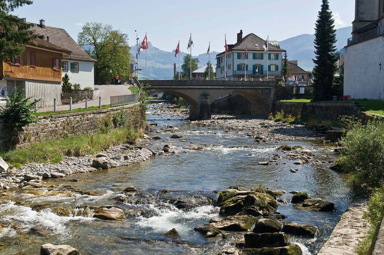 Appenzeller