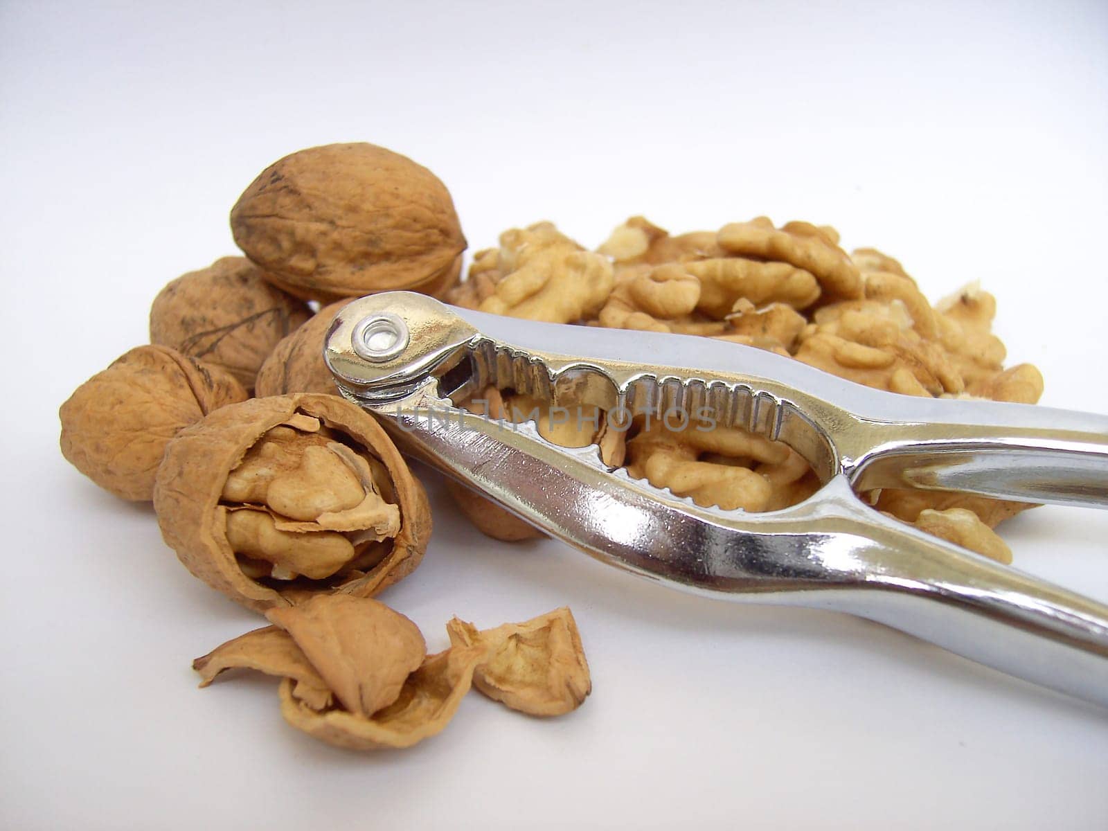 Walnut 04