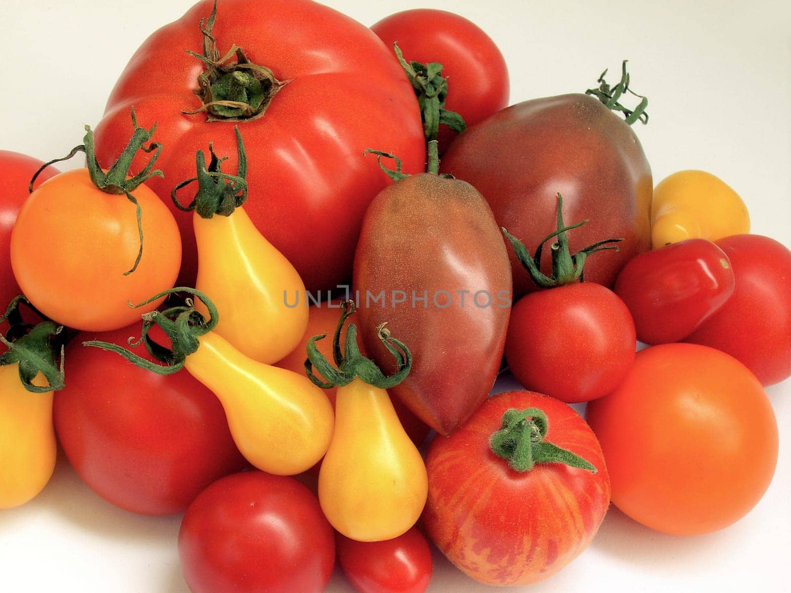 Tomato 07